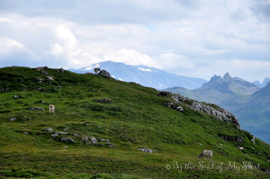 hikingGlarusfg08