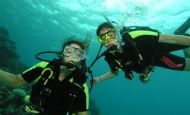 Under the Sea – Great Barrier Reef!