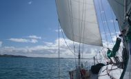 Sailing Freestyle in Opua