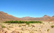 Desert Oasis in Morocco