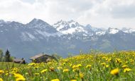 Bernese Oberland – Interlaken, Switzerland